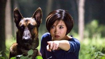 神犬奇兵花絮,萌犬与英雄的温馨瞬间