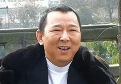 刘汉 明星,明星背后的励志人生