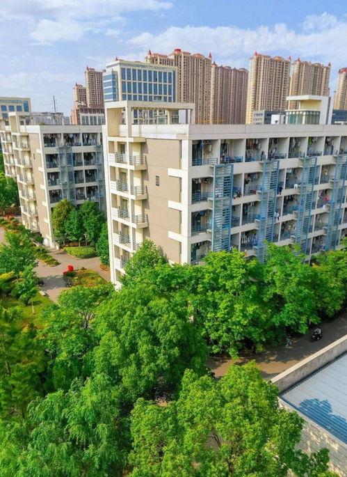 南通大学热门八卦,揭秘热门八卦背后的故事