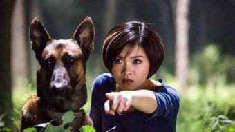 奇兵神犬所有花絮,揭秘军犬训练的艰辛与感动